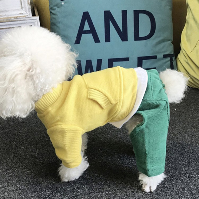 코코스튜디오 강아지 상큼 올인원, 레몬, 1개