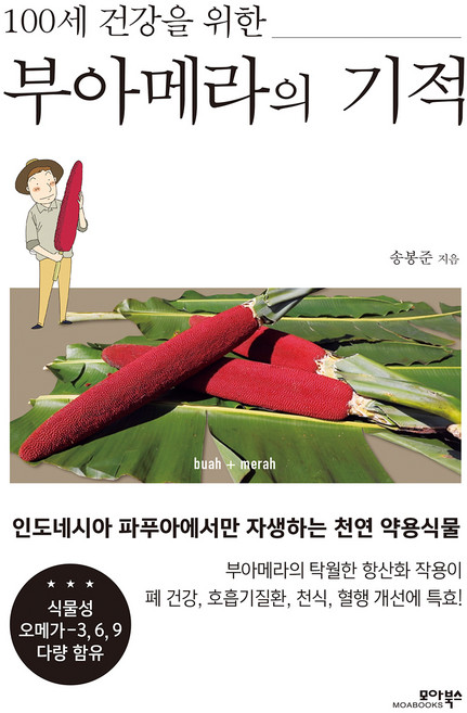 부아메라의 기적, 송봉준, 모아북스