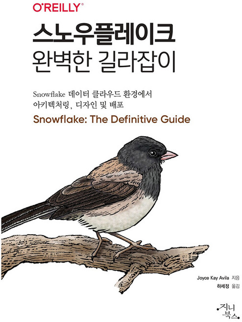 스노우플레이크 완벽한 길라잡이, Joyce Key Avila, 지니북스