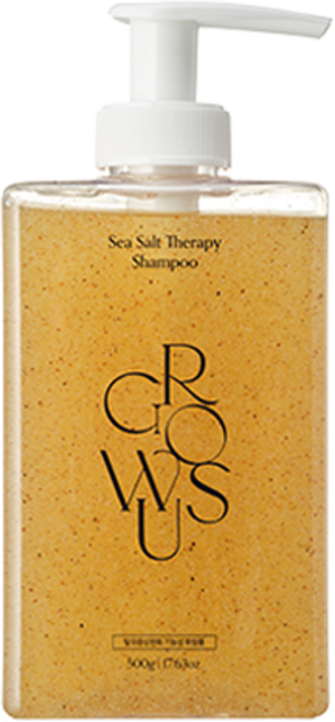 그로우어스 씨솔트 테라피 샴푸, 500g, 1개