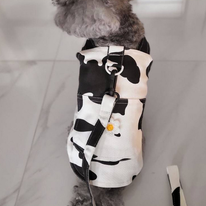 코코스튜디오 반려동물 귀여운 코코 카우 하네스 + 목줄 세트, XS, 블랙, 1세트