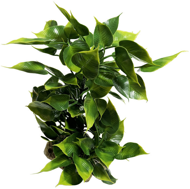 샘아쿠아 리프레쉬 인조 수초 나나 하트 SC314, 1개