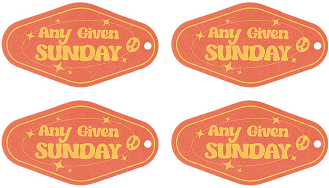 벤딕트 차량용 종이 방향제 퍼퓸 샤쉐 프래그런스 태그 11g, BLACK ICE(일요일), 4개