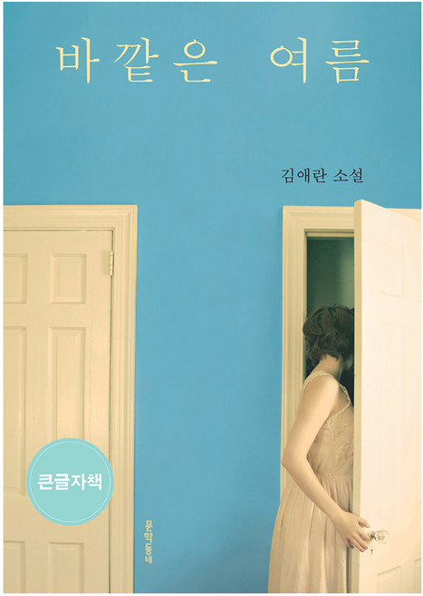 4위 - 바깥은 여름(큰글자책):김애란 소설, 김애란, 문학동네