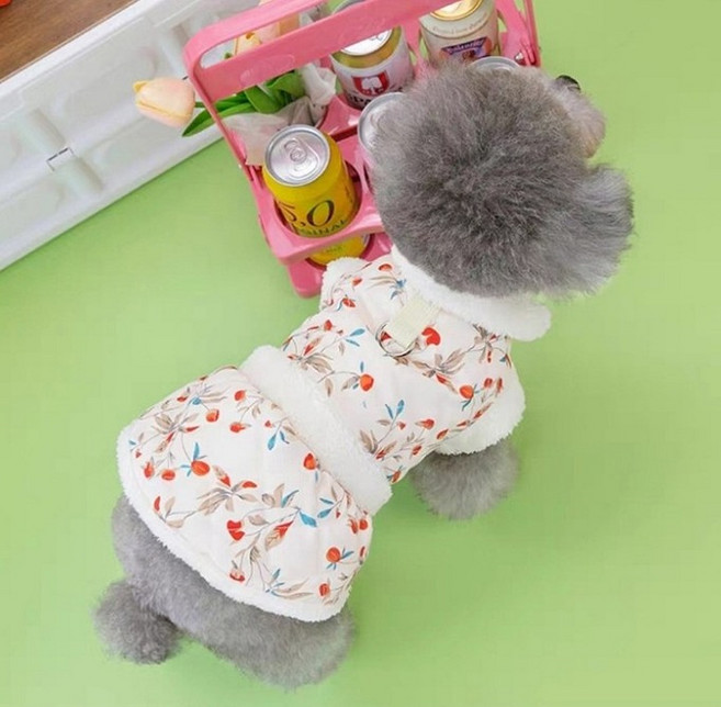 코코스튜디오 반려동물 설홍란 프릴 하네스 조끼패딩, 난초 모양, 1개