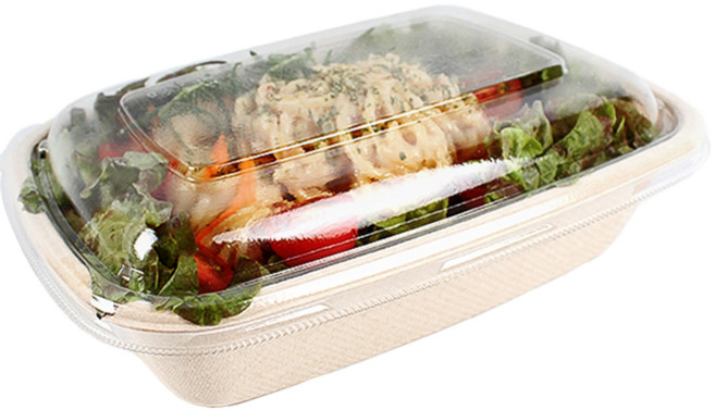 펄프 직사각 용기 1L, 50개