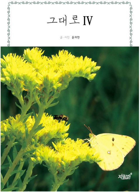 그대로 4, 지식과감성, 윤의연