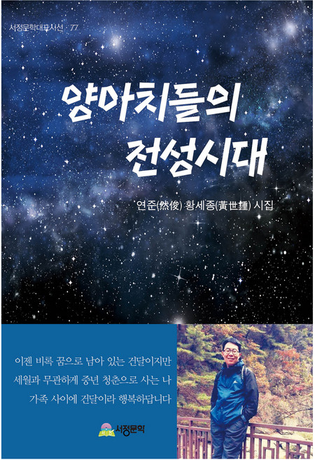 양아치들의 전성시대, 서정문학, 황세종