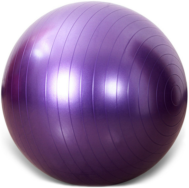 피어니스트 홈트레이닝 유산소 짐볼, 퍼플
