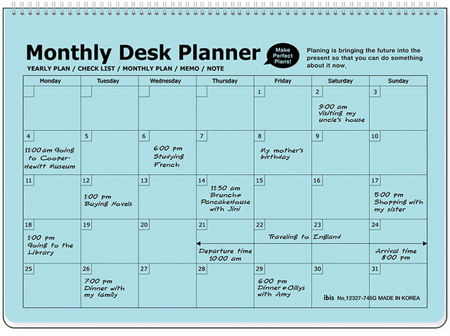 아이비스 PP 탁상용 먼슬리 플래너, 연블루, 1개