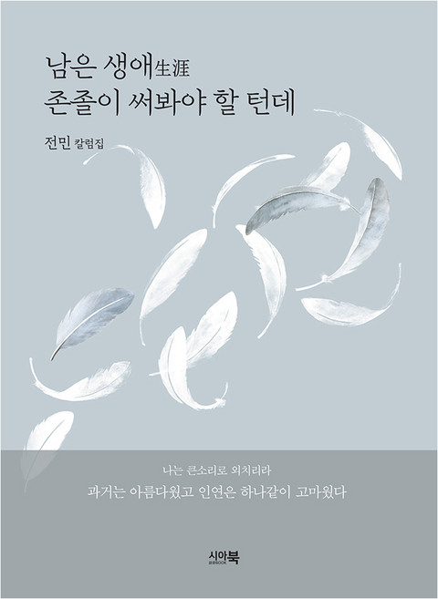 남은 생애 존졸이 써봐야 할 턴데, 시아북, 전민(저), 전민