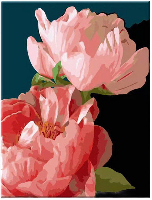 모모픽스페인팅 DIY명화그리기 40 x 50 cm, I76 두송이 모란꽃, 1개