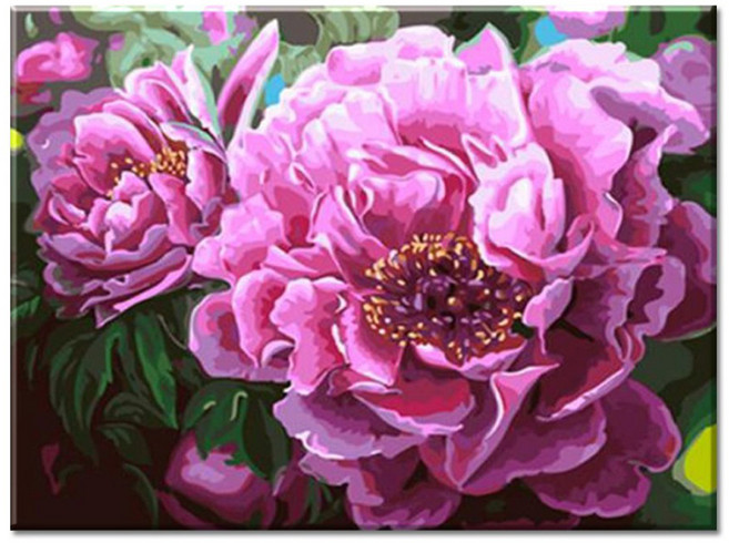 모모픽스페인팅 DIY명화그리기 40 x 50 cm, I73 화려한 모란꽃, 1개