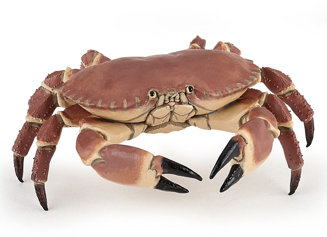 파포 해양동물 피규어 크랩, 1개