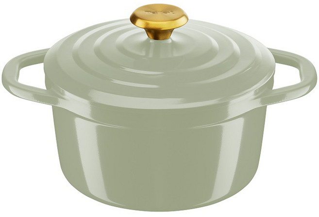 테팔 인덕션 세라믹 에어 주물 양수 냄비, 20cm, 페어그린, 1개