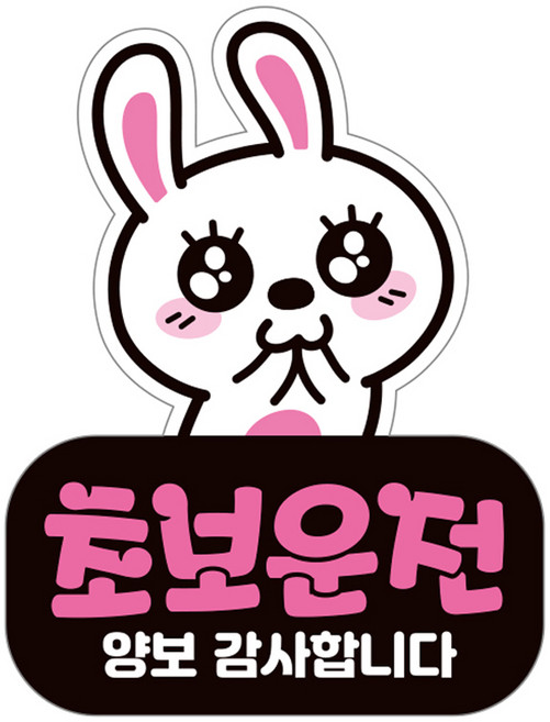 제제데코 자동차 탈부착 자석 고휘도 반사 초보운전 스티커 시트지 LC006, 혼합색상, 1개