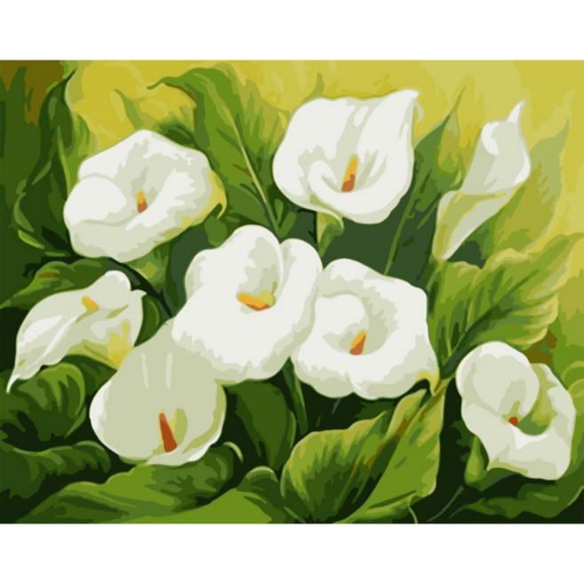 모모픽스페인팅 DIY 명화그리기 세트 60 x 75 cm, WK21 청초한 카라, 1세트