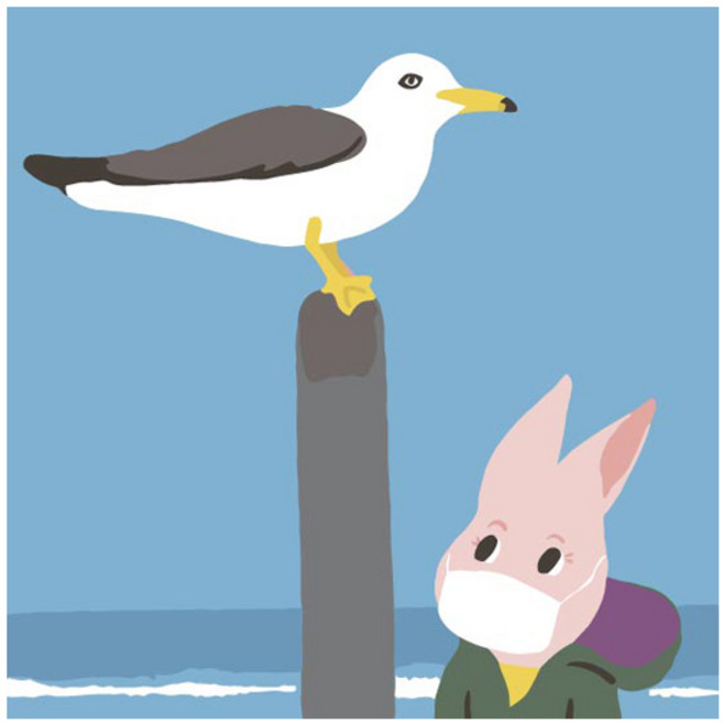 모모픽스페인팅 DIY 유화그리기 25 x 25 cm, 갈매기와눈싸움(B37), 1개