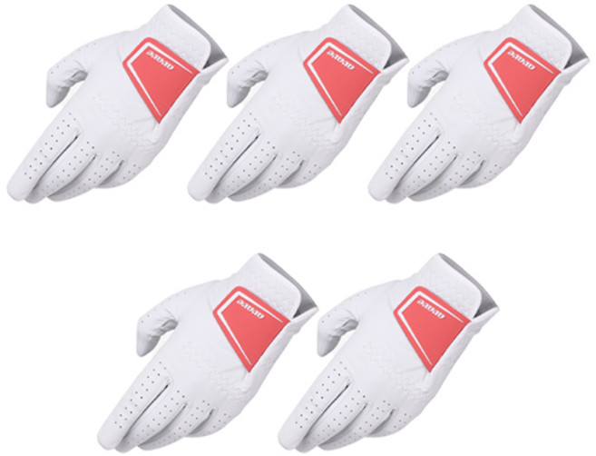 어베이브 여성용 팬시 컬러와펜 전체양피 골프장갑 왼손용, 화이트체리, 5개