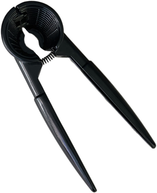 라쿠친 호두까기, 블랙, 1개