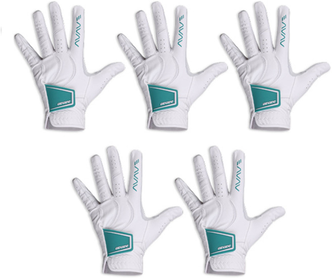 어베이브 남성용 팬시 컬러와펜 콤비양피 골프장갑 왼손용, 화이트민트, 5개