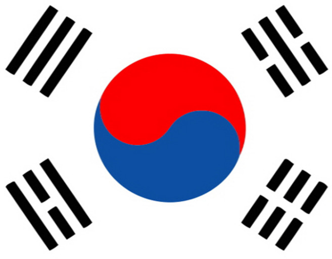 모모픽스페인팅 DIY 유화그리기 10 x 15 cm, A46 태극기, 1세트