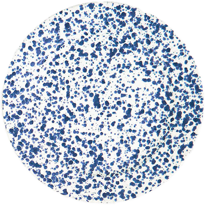 달마시안 점박이 디저트 원형접시, 블루, 1개