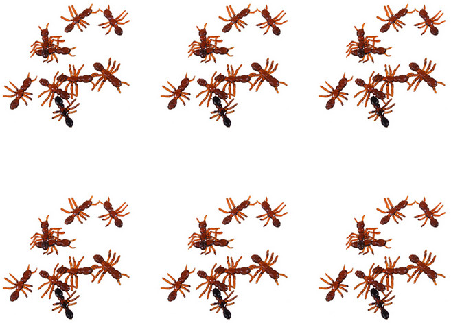 스투피드 개미 9p 세트, 브라운, 6개