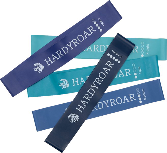 하디로어 라텍스 루프 밴드 5종 세트, 혼합색상, 1세트