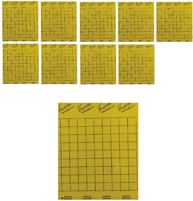 보키니 황색 판형 트랩 20cm x 25cm, 10개, 1개입