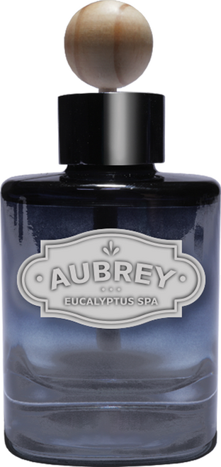 오브리 차량용디퓨저 120ml, 유칼립투스스파, 1개