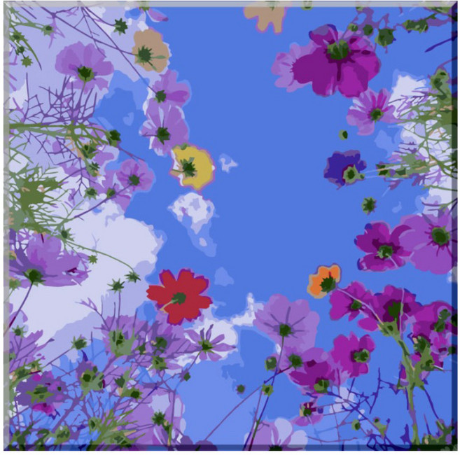 모모픽스페인팅 DIY 명화그리기 세트 40 x 40 cm, F17 코스모스, 1세트