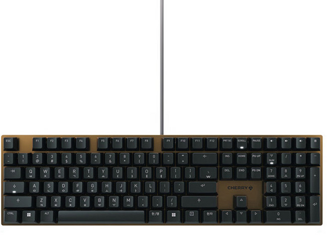 CHERRY 풀윤활 기계식 키보드, 브론즈 + 블랙, KC200 MX 2A, 저소음 적축
