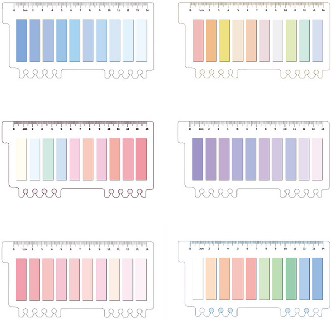 하비스페이스 플래그 인덱스 스티커 6종 세트, 1세트