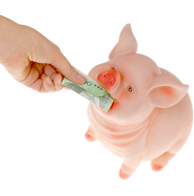 진짜 돼지저금통, 혼합색상, 1개