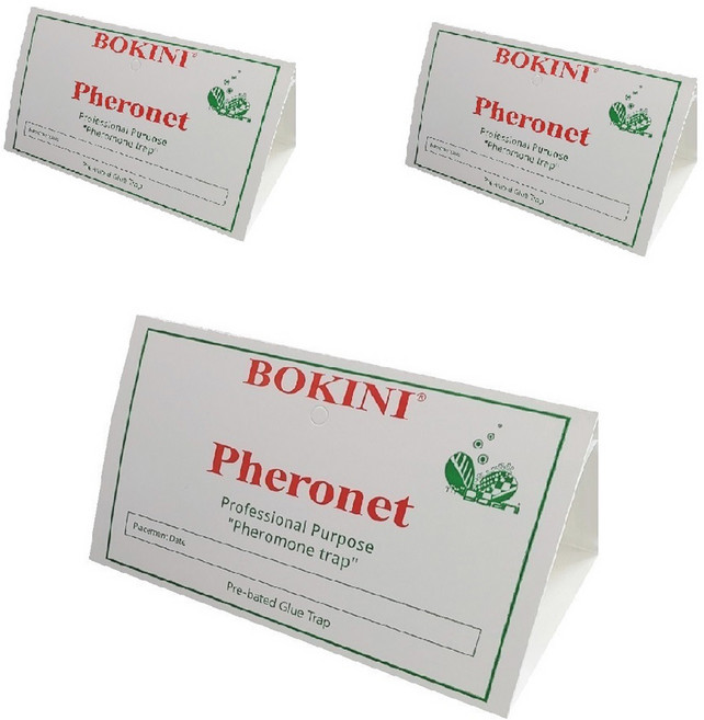 보키니 화랑곡나방 권연벌레 페로몬 끈끈이 트랩 대, 3개