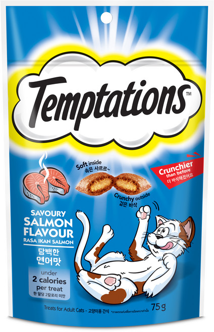 템테이션 고양이 담백한 스낵, 연어맛, 75g, 1개