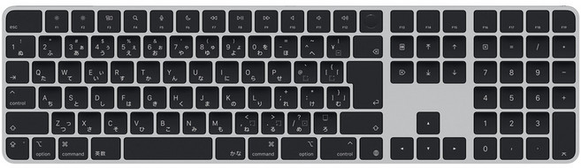 Apple 2024 Touch ID 숫자 키패드 Magic Keyboard, 블랙, MXK83CJ/A