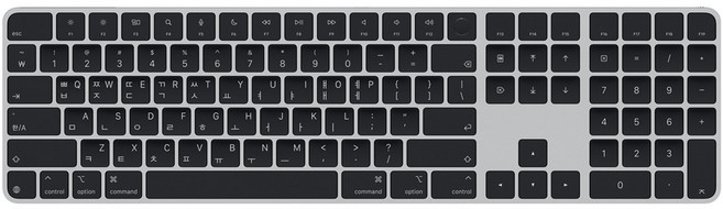 Apple 2024 Touch ID 숫자 키패드 Magic Keyboard, 블랙, MXK83KH/A