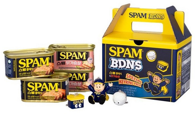 스팸 BDNS 클래식 200g x 2p + 닭가슴살 200g x 2p + 키링 세트, 1세트