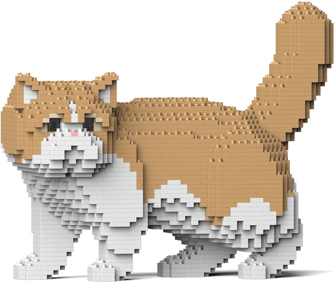 엑조틱 숏헤어 고양이 블럭 대형 M, 골드, 1개