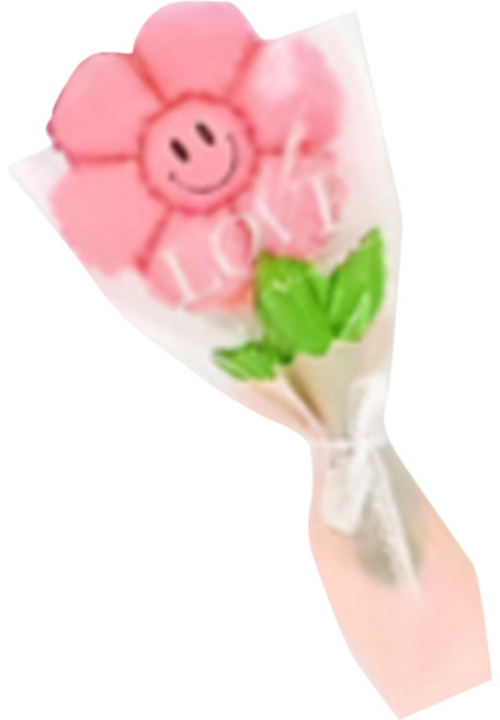 살림여왕 풍선 꽃다발 포장지 10종 세트 랜덤발송, 데이지, 1세트