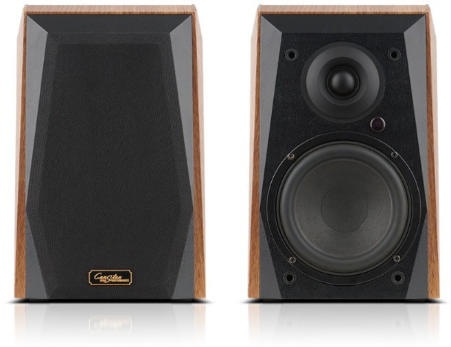 캔스톤 2채널 프리미엄 PC Fi 북쉘프 스피커, 브라운+블랙, X5BT