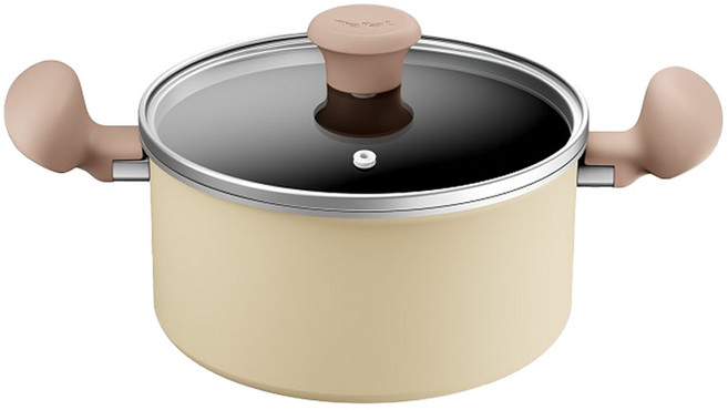 테팔 인덕션 티타늄 데이지 양수냄비, 20cm, 베이지, 1개