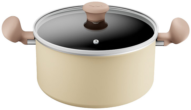 테팔 인덕션 티타늄 데이지 양수냄비, 24cm, 베이지, 1개