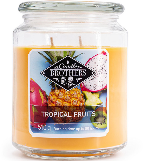 캔들브라더스 유러피언 트윈 팜캔들 라지자, 510g, 1개, 트로피컬 프루트