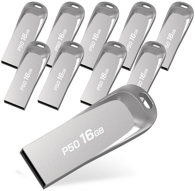PLEIGO USB메모리 P50, 16GB, 10개
