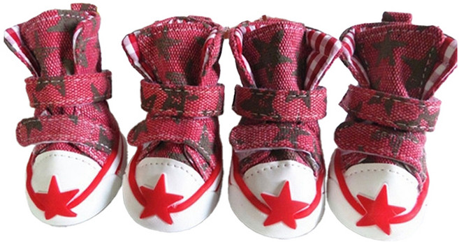 코코스튜디오 강아지 스타 운동화 4p 세트, 레드, 1세트