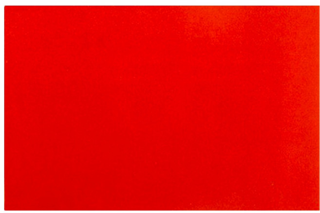 월드크린 미끄럼방지 카펫 매트, 레드, 1개