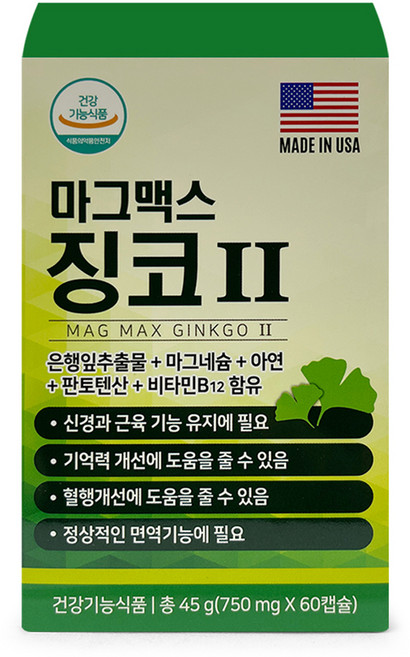 마그맥스 징코 은행잎추출물 마그네슘 아연 판토텐산 45g, 1개, 60정